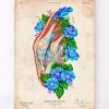 Knie Anatomie II - Floral - Vintage | Codex Anatomicus Hot