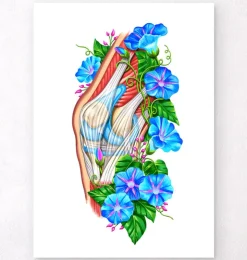 Knie Anatomie II - Floral - Weiß | Codex Anatomicus Clearance