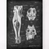 Kniegelenk und Beinmuskeln - Chalkboard | Codex Anatomicus Best