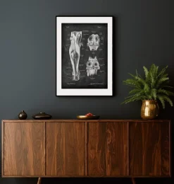 Kniegelenk und Beinmuskeln - Chalkboard | Codex Anatomicus Best