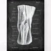 Kniekehle Anatomie - Chalkboard | Codex Anatomicus Online