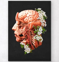 Kopf, Gehirn und Arterien - Floral - Schwarz | Codex Anatomicus Clearance