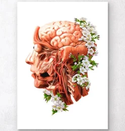 Kopf, Gehirn und Arterien - Floral - Weiß | Codex Anatomicus New