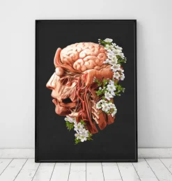 Kopf, Gehirn und Arterien - Floral - Schwarz | Codex Anatomicus Clearance
