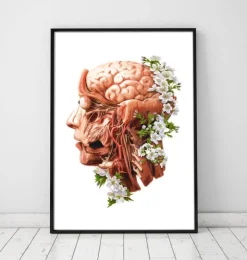 Kopf, Gehirn und Arterien - Floral - Weiß | Codex Anatomicus New