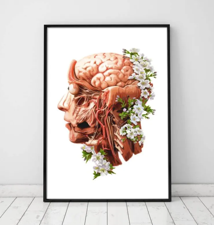 Kopf, Gehirn und Arterien - Floral - Weiß | Codex Anatomicus New