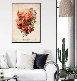 Kopf, Gehirn und Arterien - Floral - Altes Papier | Codex Anatomicus Online
