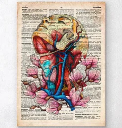 Kopf, Hals und Arterien - Altes Wörterbuch | Codex Anatomicus Fashion
