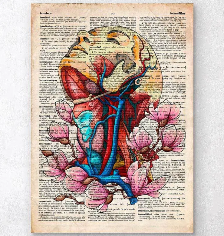 Kopf, Hals und Arterien - Altes Wörterbuch | Codex Anatomicus Fashion