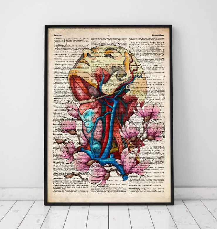 Kopf, Hals und Arterien - Altes Wörterbuch | Codex Anatomicus Fashion