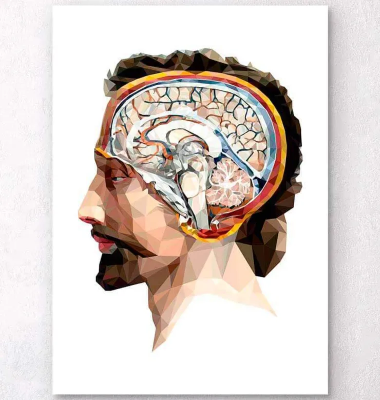 Kopf und Gehirn II - Geometrisch | Codex Anatomicus Outlet