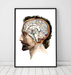 Kopf und Gehirn II - Geometrisch | Codex Anatomicus Outlet
