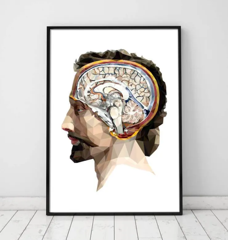 Kopf und Gehirn II - Geometrisch | Codex Anatomicus Outlet
