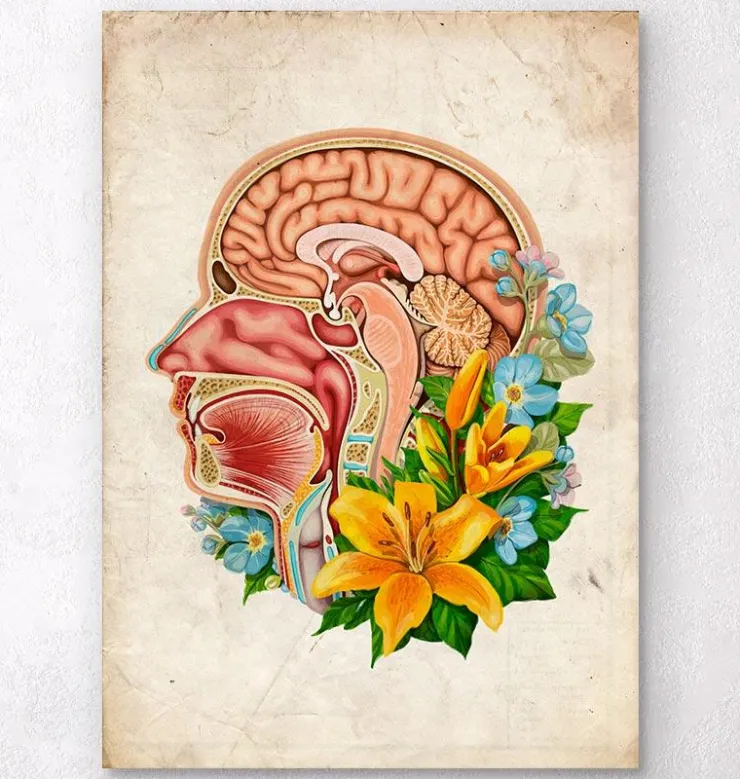 Kopfteil Anatomie - Floral - Altes Papier | Codex Anatomicus Discount