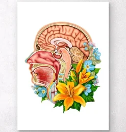 Kopfteils Anatomie - Floral - Weiß | Codex Anatomicus Fashion