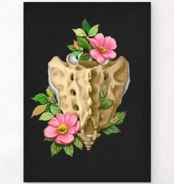 Kreuzbein und Steißbein - Floral - Schwarz | Codex Anatomicus Discount