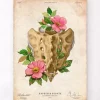 Kreuzbein und Steißbein - Floral - Vintage | Codex Anatomicus Hot