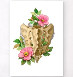 Kreuzbein und Steißbein - Floral - Weiß | Codex Anatomicus Outlet
