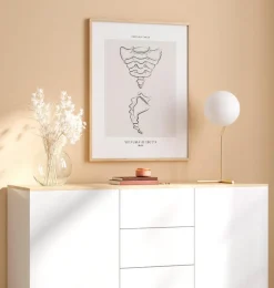 Kreuzbein und Steißbein - Line-Art | Codex Anatomicus Clearance