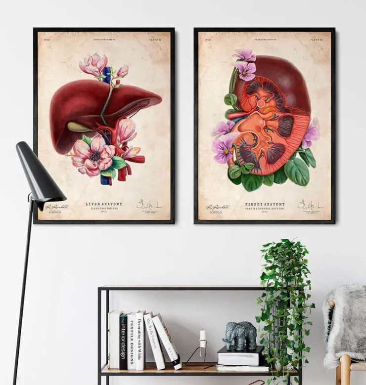 Leber Anatomie - Floral - Altes Papier | Codex Anatomicus Best