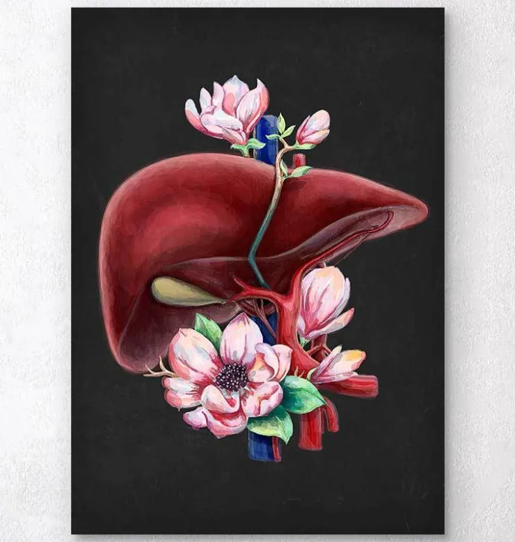 Leber Anatomie - Floral - Schwarz | Codex Anatomicus Hot