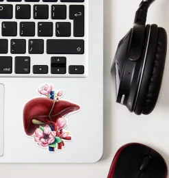 Leber Anatomie Aufkleber - Floral | Codex Anatomicus Discount