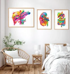 Leber Anatomie Kunst - Aquarell | Codex Anatomicus Sale