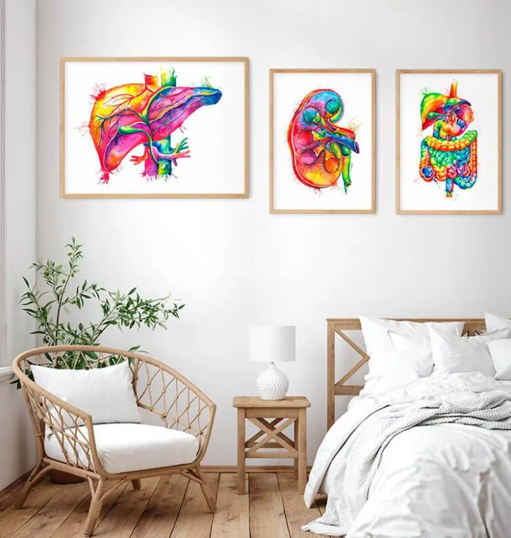Leber Anatomie Kunst - Aquarell | Codex Anatomicus Sale