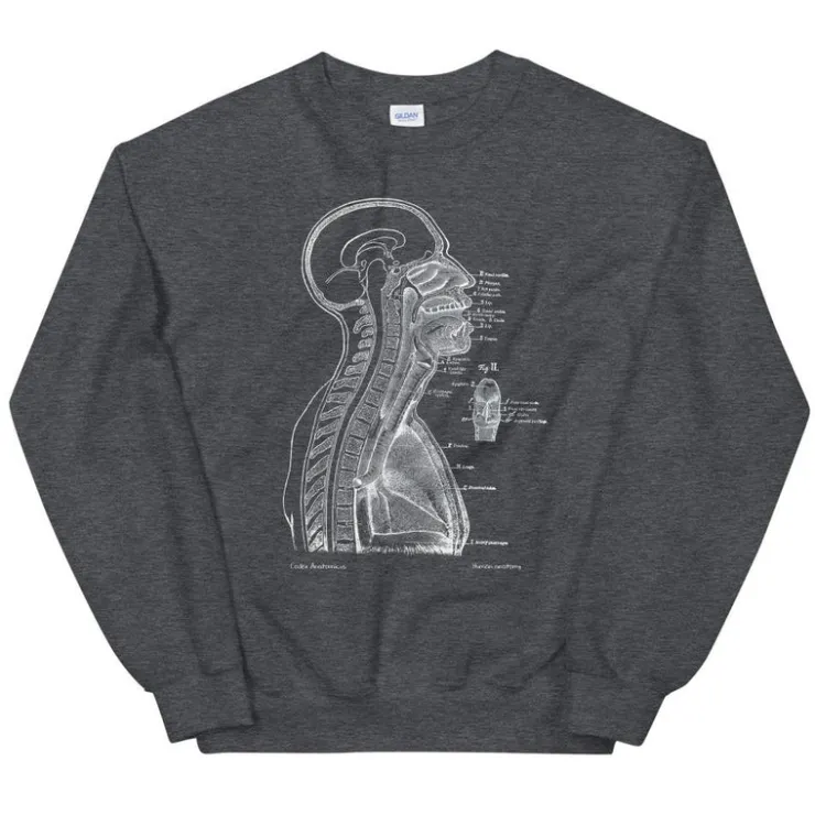 Leiter Abschnitt II Unisex Sweatshirt - Chalkboard | Codex Anatomicus New