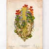 Lenden-Kreuz-Geflecht - Floral - Vintage | Codex Anatomicus Fashion