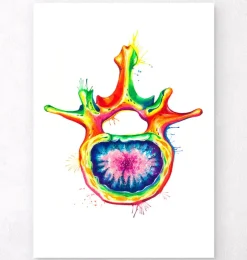 Lendenwirbel Anatomie - Aquarell | Codex Anatomicus Fashion