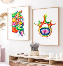 Lendenwirbel Anatomie - Aquarell | Codex Anatomicus Fashion