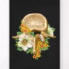 Lendenwirbel Anatomie - Floral - Schwarz | Codex Anatomicus Discount