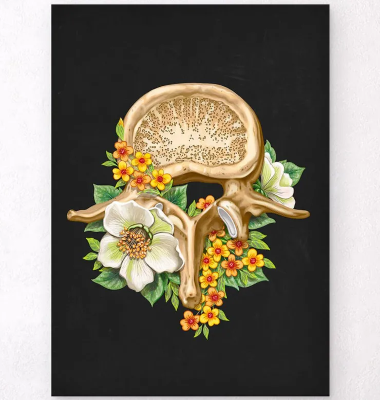 Lendenwirbel Anatomie - Floral - Schwarz | Codex Anatomicus Discount