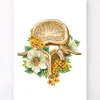 Lendenwirbel Anatomie - Floral - Weiß | Codex Anatomicus Online