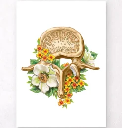 Lendenwirbel Anatomie - Floral - Weiß | Codex Anatomicus Online