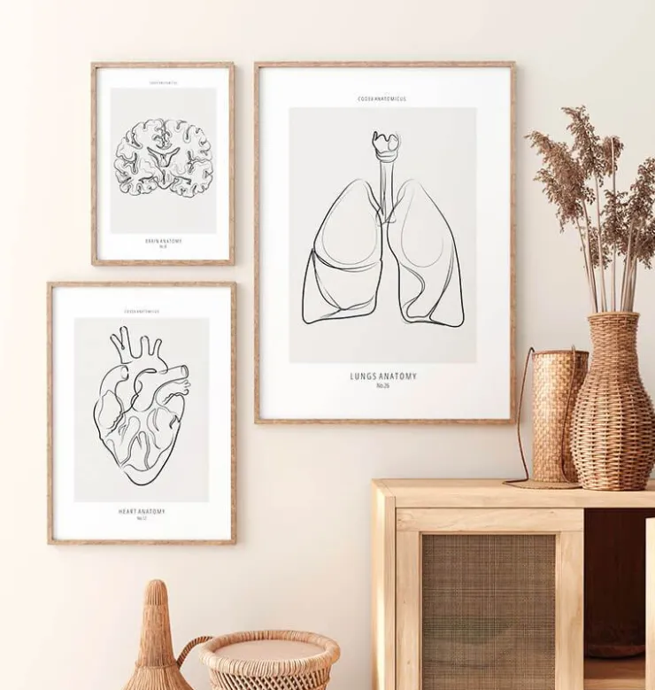 Lunge Anatomie - Line-Art | Codex Anatomicus New