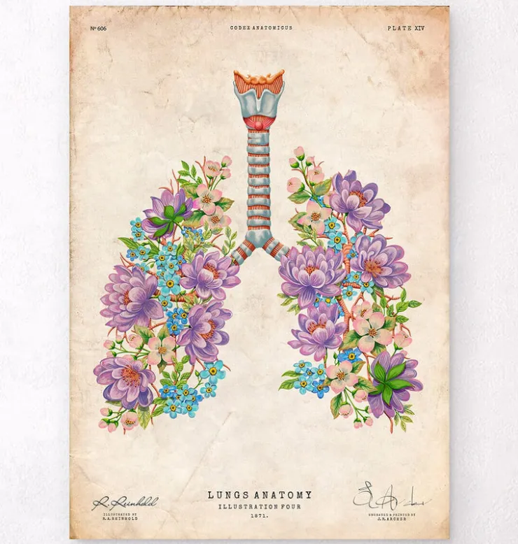 Lungen Anatomie - Floral - Vintage | Codex Anatomicus Hot