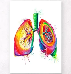 Lungen Anatomie - Aquarell | Codex Anatomicus New