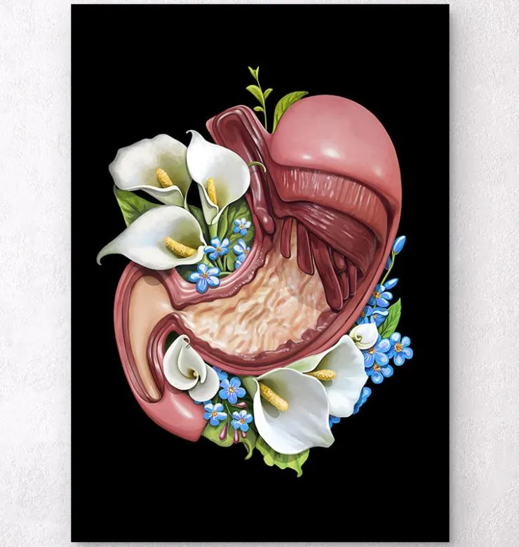 Magen Anatomie - Floral - Schwarz | Codex Anatomicus Best