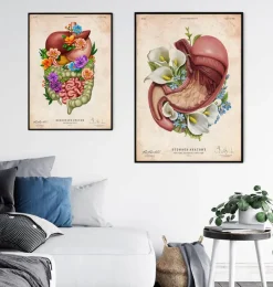 Magen Anatomie - Floral - Vintage | Codex Anatomicus Online