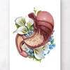Magen Anatomie - Floral - Weiß | Codex Anatomicus Fashion