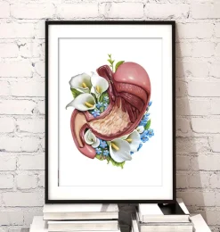 Magen Anatomie - Floral - Weiß | Codex Anatomicus Fashion