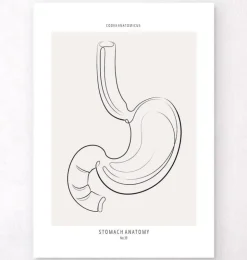 Magen Anatomie - Line-Art | Codex Anatomicus Sale