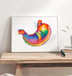 Magen Anatomie Kunst - Aquarell | Codex Anatomicus Sale