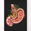 Magengeschwür - Floral - Schwarz | Codex Anatomicus Fashion