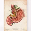 Magengeschwür - Floral - Vintage | Codex Anatomicus Clearance