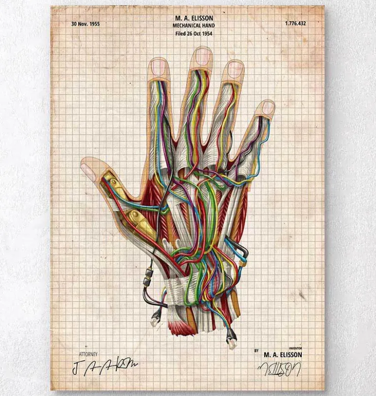 Mechanische Hand | Codex Anatomicus Discount