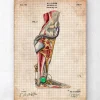 Mechanisches Bein | Codex Anatomicus Online