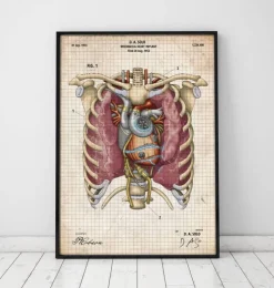 Mechanisches Herz II | Codex Anatomicus Sale
